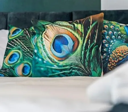 5-Bdr Modern Stay, Bs6 , Ideal For Groups, Wi-Fi *