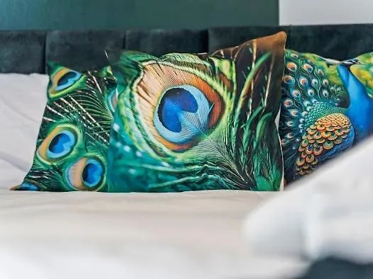 5-bdr Modern Stay, Bs6 , Ideal For Groups, Wi-fi *